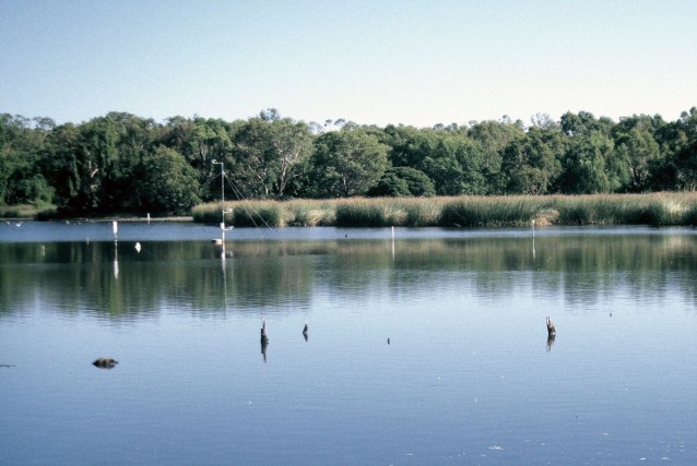 View looking west across the southern basin of East Lake.  White PVC pipes are thermistor strings, and surface, mid-level and bottom temperature loggers.  The anemometer mast is visible in the centre along with remnants of fencing and tree stumps, foreground.